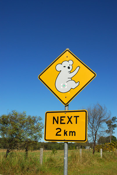 Koala Crossing, Queensland