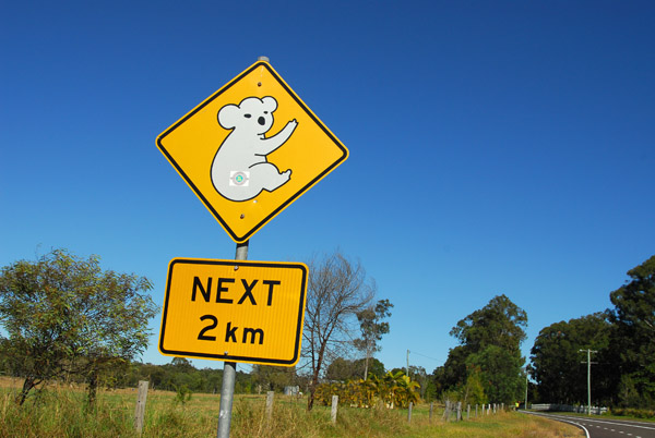 Koala Crossing, Queensland