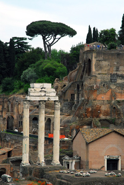 Temple of Castor and Pollux and the Palatine Hill