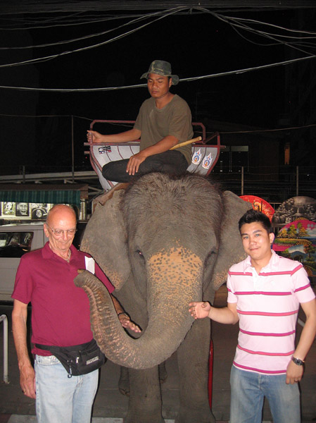 Elephant at the Chiang Mai night market