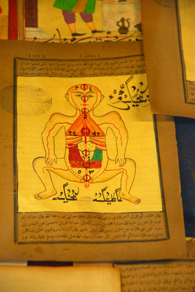 Old drawing from a Turkish medicine text