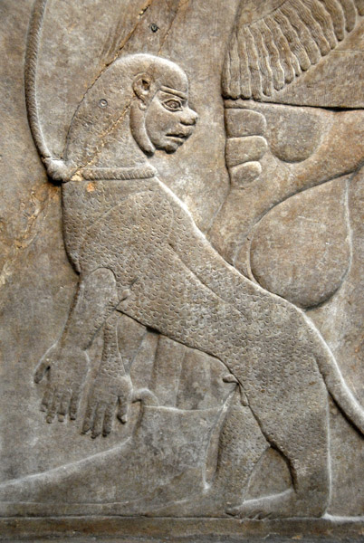 Exotic animal brought as tribute to the palace of Nimrud (Iraq) ca 860 BC