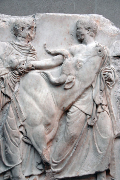A youth (figure 135) heads a sacrificial heifer, Parthenon South Frieze XLIV