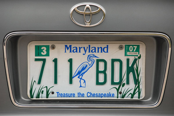 Maryland License Plate - Treasure the Chesapeake