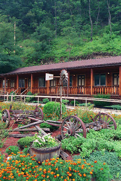 Garden with an old wagon