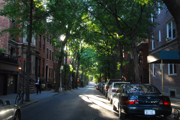 Shady streets of Brooklyn Heights