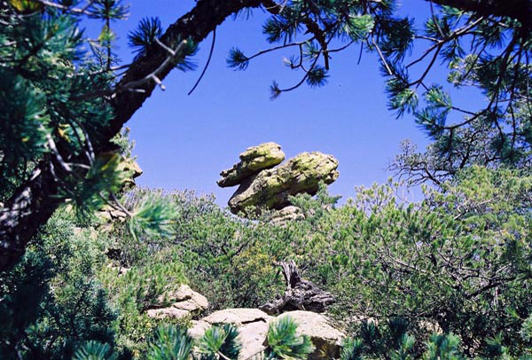 Chiracahua National Monument