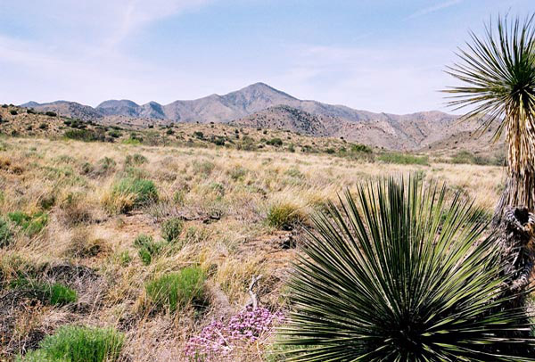 Fort Bowie National Historic Site