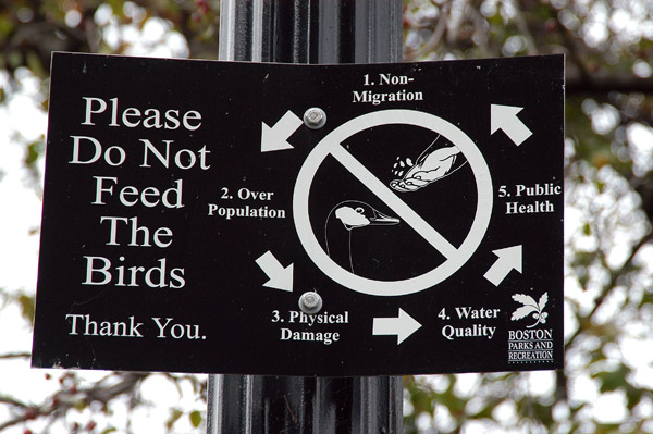 Please do not feed the birds, Public Garden, Boston