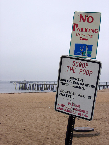 Scoop the Poop, Provincetown Beach