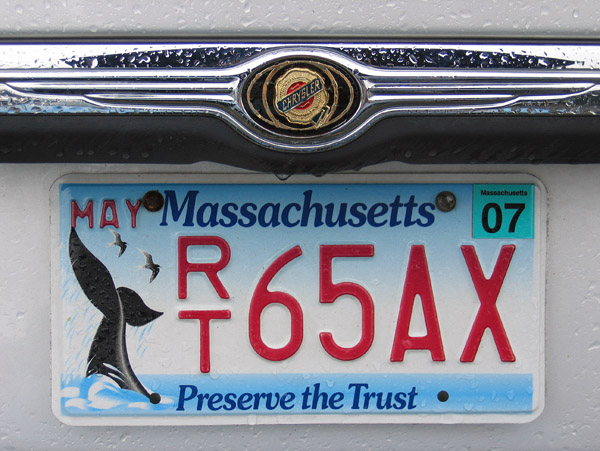 Massachusetts License Plate - Whales
