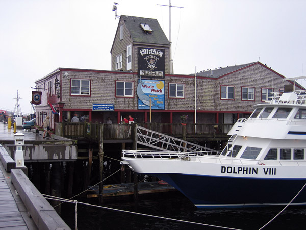 Pirate Museum and Whale Watch on the Dolphin VIII, Provincetown