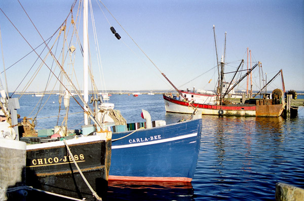 Fishing boats, Provincetown Harbor