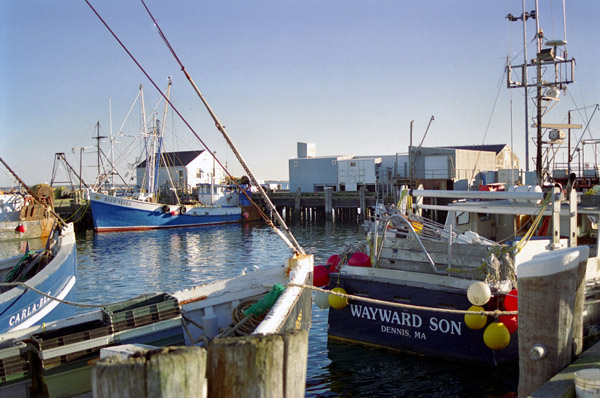 Fishing boats, Provincetown Harbor