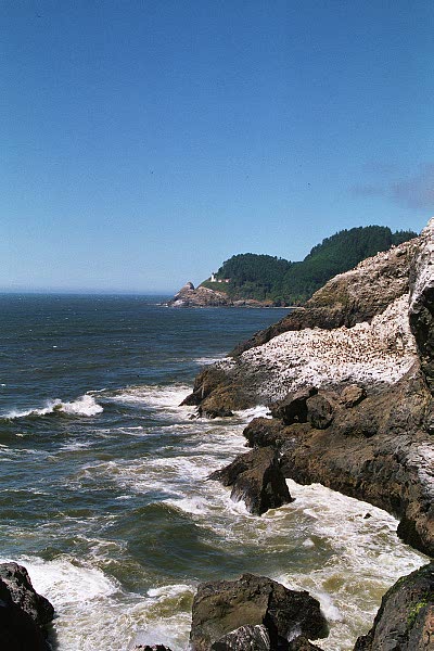 Heceta Head Lighthouse from Sea Lion Point