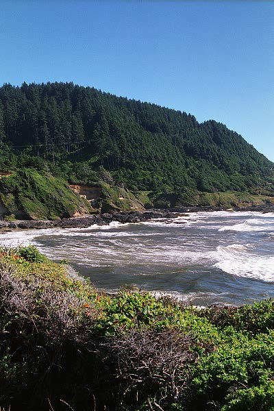 View south from Heceta Head Lighthouse