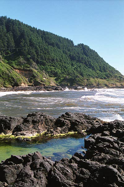 View south from Heceta Head Lighthouse