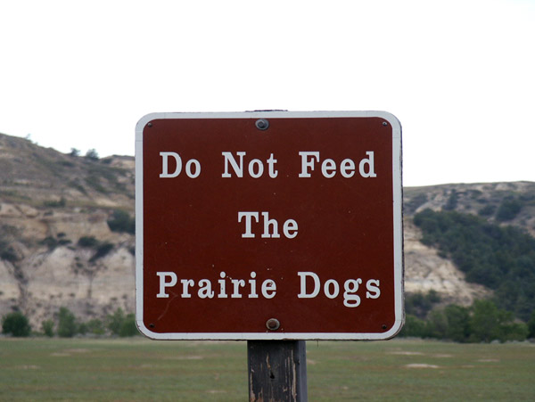 Do Not Fed the Prairie Dogs, Theodore Roosevelt National Park
