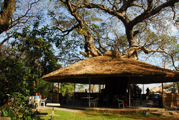 The pleasant garden of the Ghion Hotel