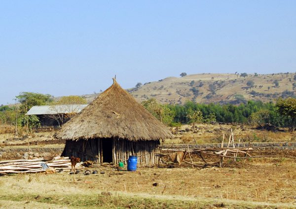 Thatched hut outside Bahir Dar