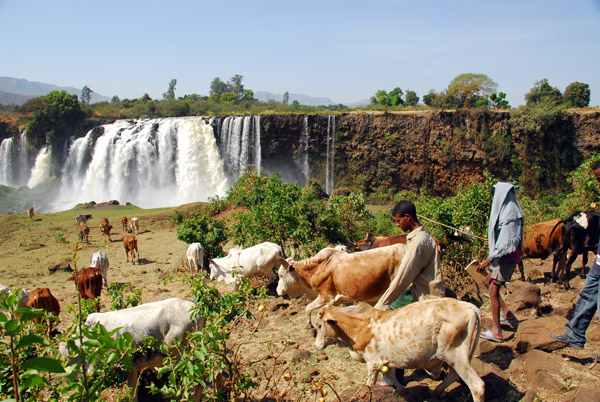 Herder and the falls guide, Blue Nile Falls