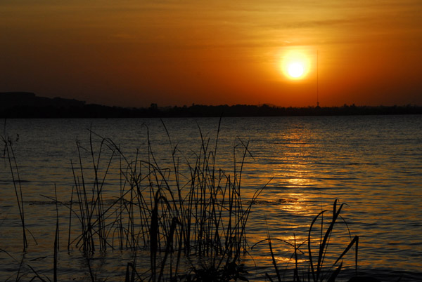Sunset with reeds, Lake Tana