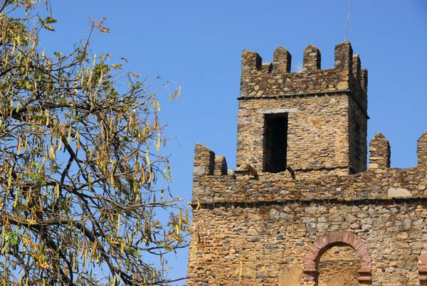 Fasilidas' Archive, Gondar