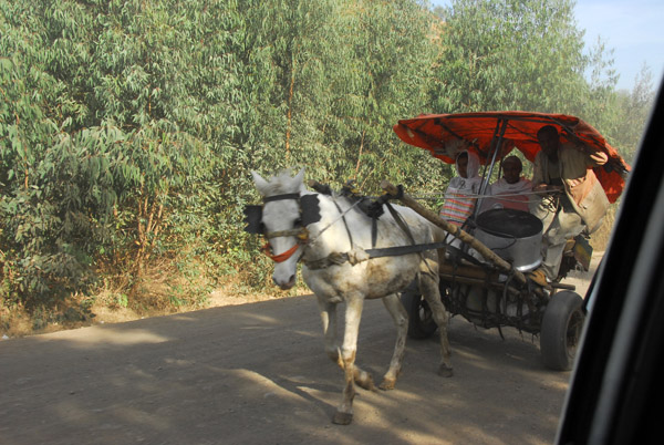 A horse-drawn cart headed to Gondar