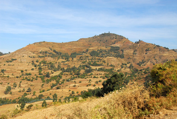 Hill covered with farms