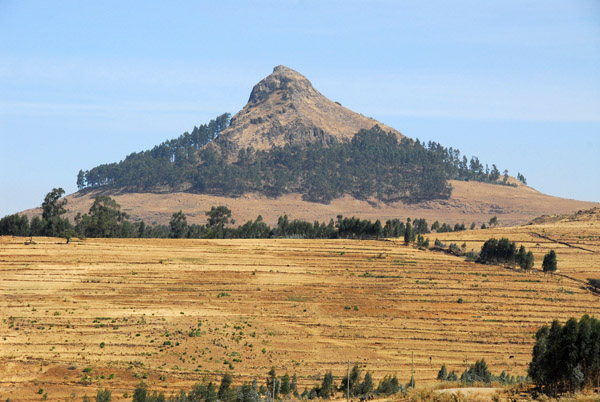 Prominent tree covered rocky peak