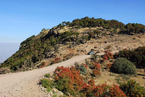 The escarpment trail rejoins the park road for a short distance