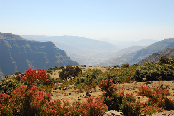 The south side of the Simien Mountains just west of Sankaber