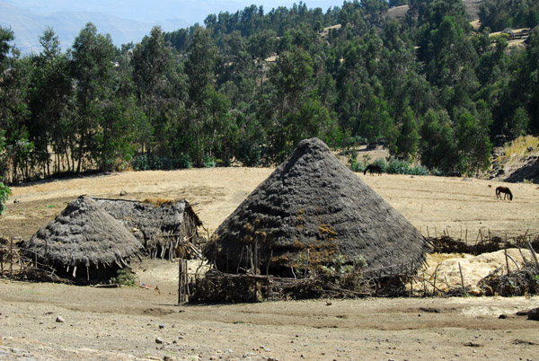 Thatched hut of farmers living inside Simien National Park