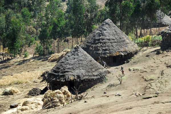 Thatched hut, Simien Mountains National Park