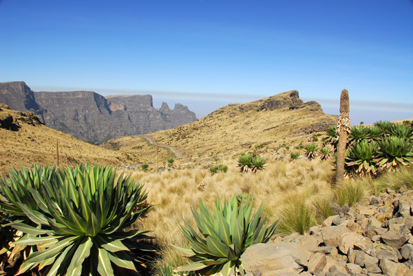 Simien National Park road from Chenek up Mount Bwahit