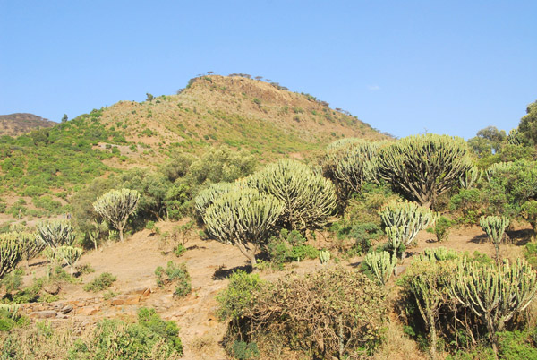Landscape between Shire and Axum