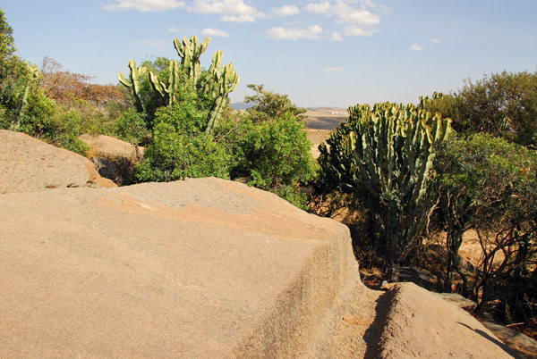 A partially cut stele, Axum granite quarry