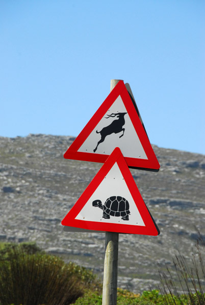 Wildlife Crossing - Cape Peninsula