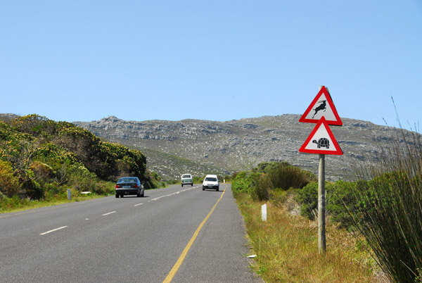 Ou Kaapse Road, Cape Peninsula