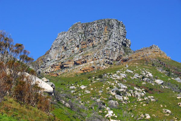 Mountainous Cape Peninsula