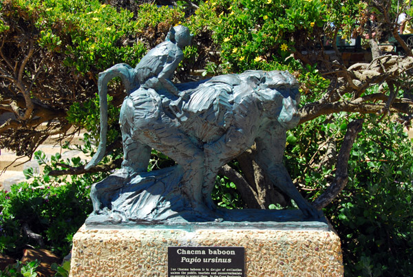 Chacma baboon statue, Cape Point