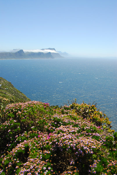 False Bay from Cape Point