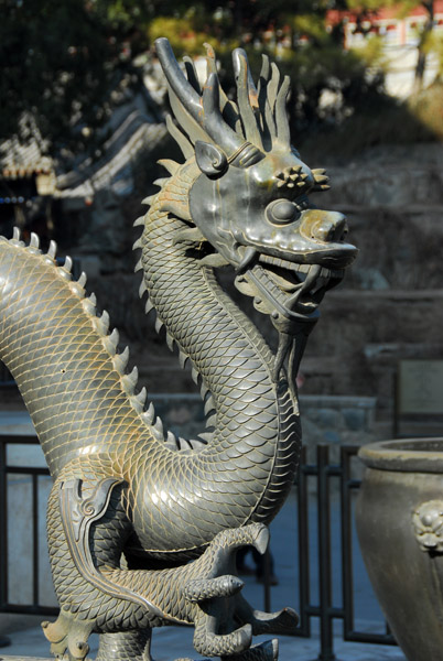 Bronze Dragon, Courtyard of the Hall of Benevolence and Longevity