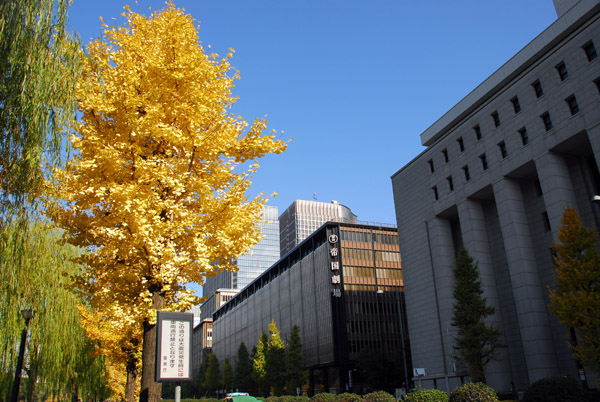 Farther south on Hibiya-dori, Tokyo-Marunouchi