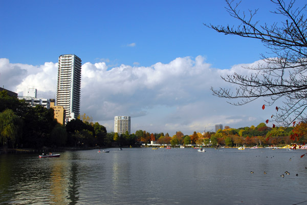 Shinobazu boat pond, Ueno Park