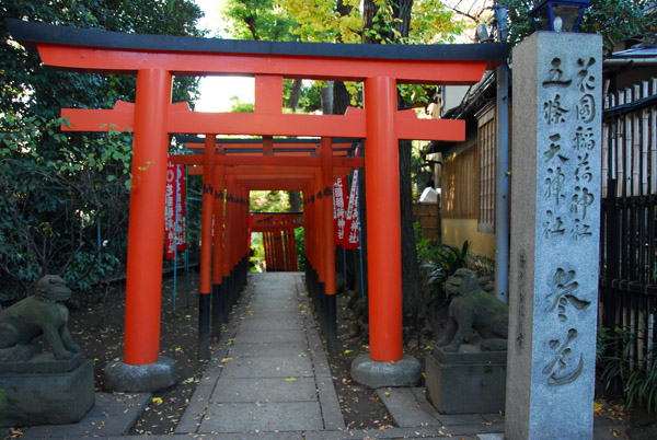 Red torii gates lining a path to Gojo Tenjin Shrine, Ueno Park