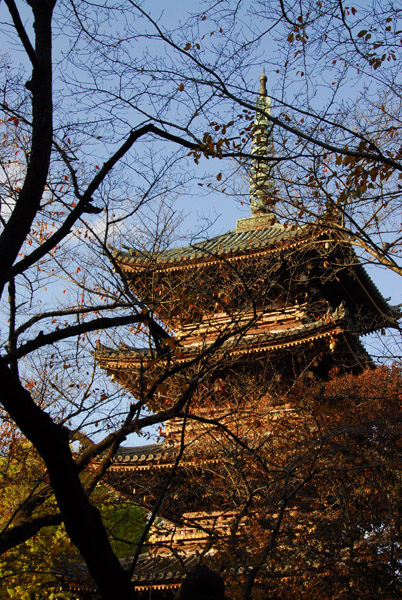 Five-storied Pagoda behind trees, Ueno Park