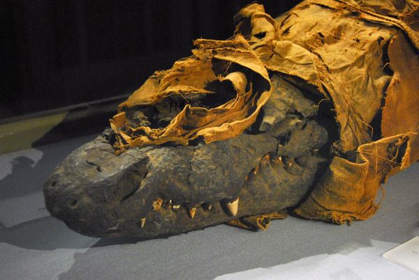 Mummified crocodile, Kunsthistorisches Museum - Wien