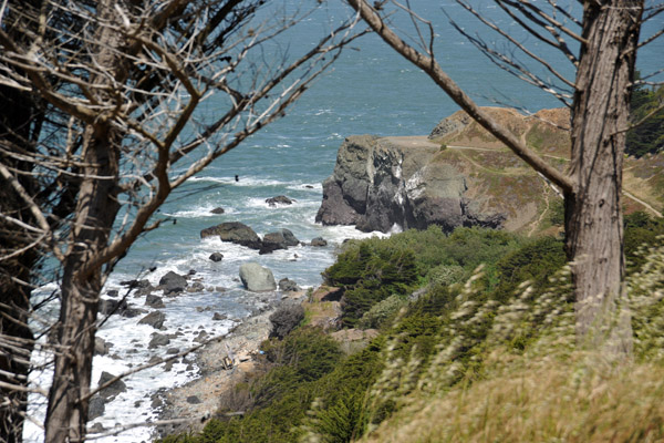 SFOMay09 260.jpg