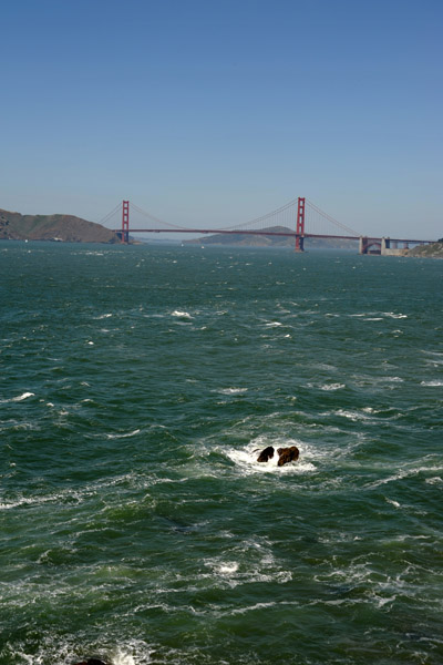 SFOMay09 278.jpg